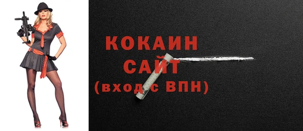 шишки Гусиноозёрск