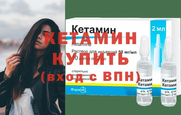 шишки Гусиноозёрск