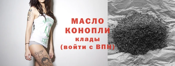 шишки Гусиноозёрск