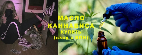 шишки Гусиноозёрск