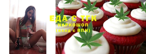 шишки Гусиноозёрск
