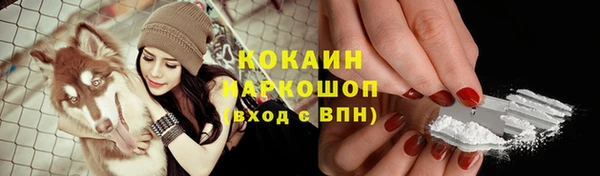 шишки Гусиноозёрск