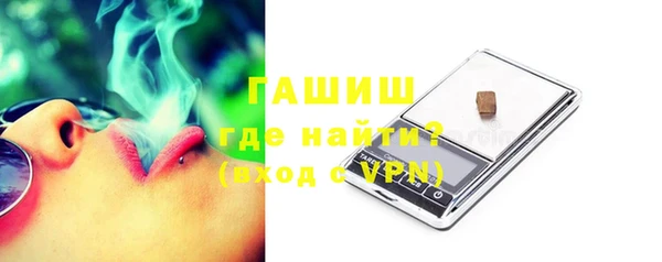 шишки Гусиноозёрск