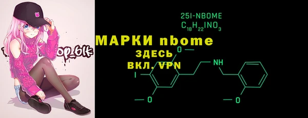 шишки Гусиноозёрск
