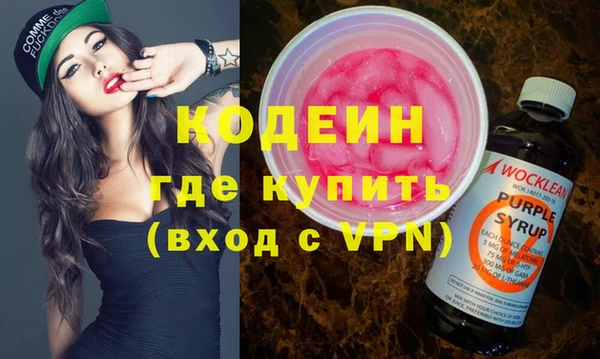шишки Гусиноозёрск