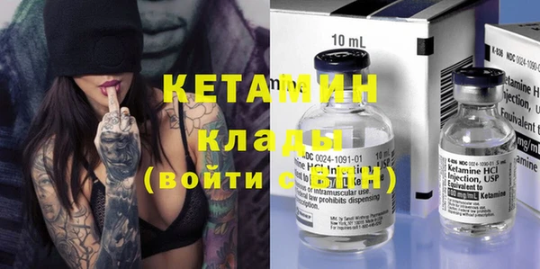 шишки Гусиноозёрск