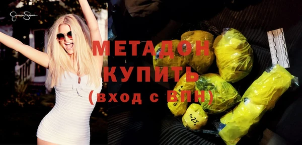 шишки Гусиноозёрск