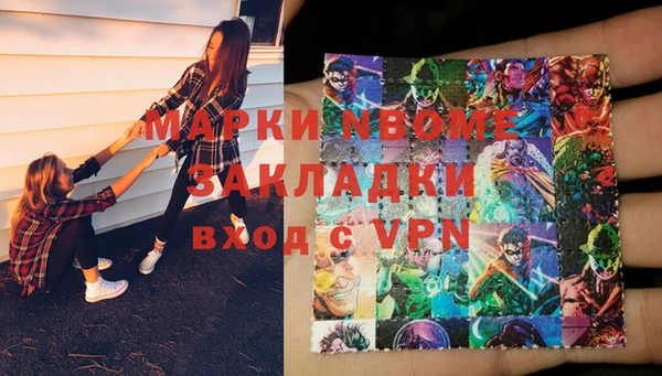 шишки Гусиноозёрск