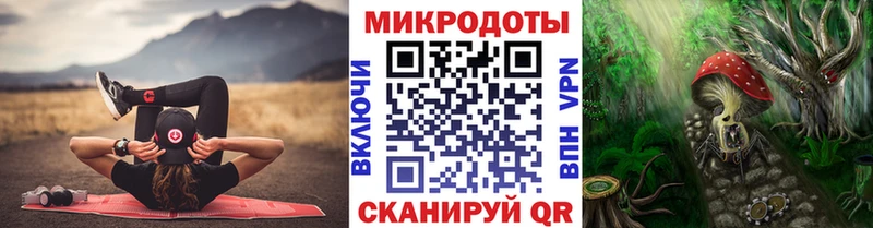 Псилоцибиновые грибы мицелий Далматово