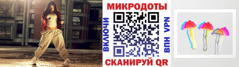 купить наркотик  Далматово  Псилоцибиновые грибы Psilocybe 